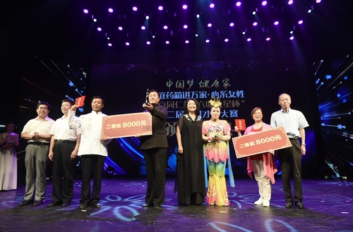 参会领导颁发二等奖《走进敦煌》、《雷琴与乐队智斗》