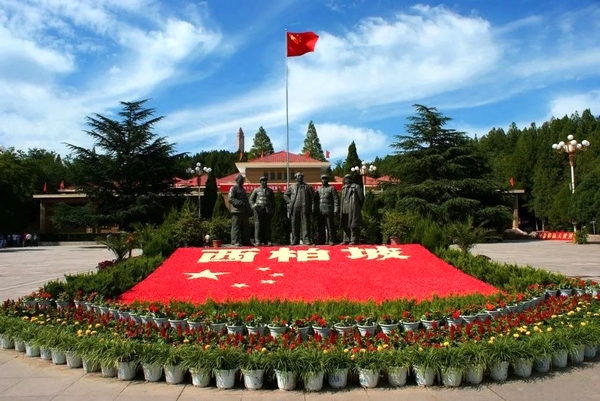 图片1