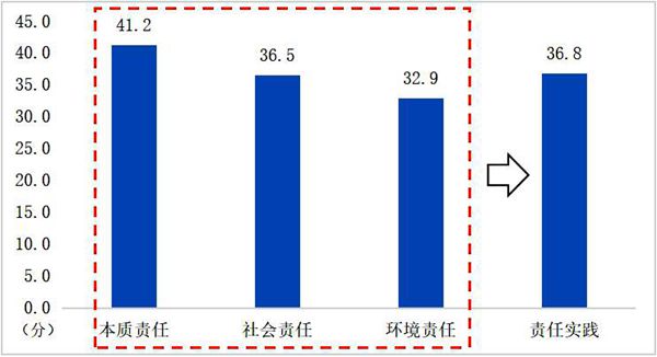 图片8