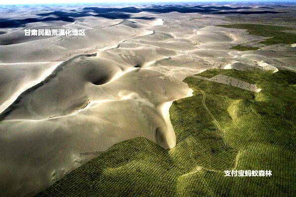 点击打开原图 图片30