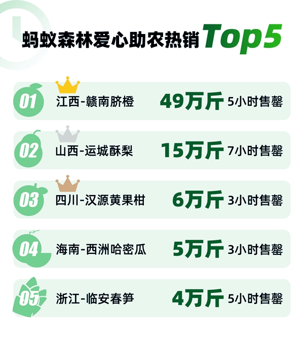 图片9