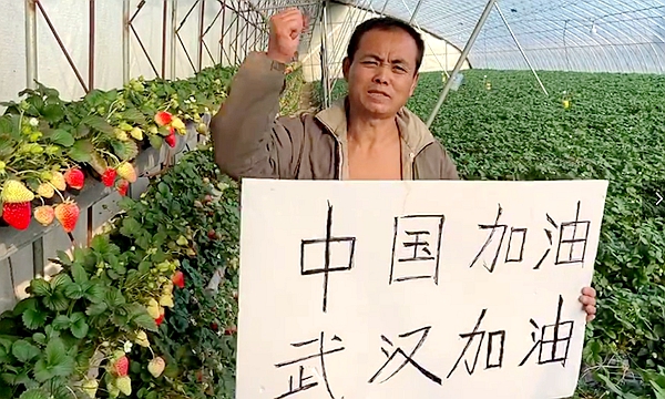 图片10