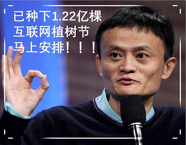 图片6