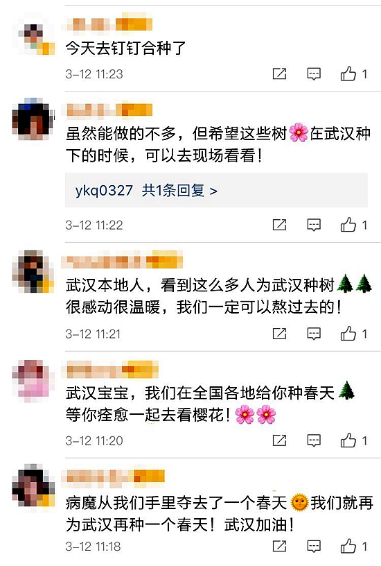 图片8