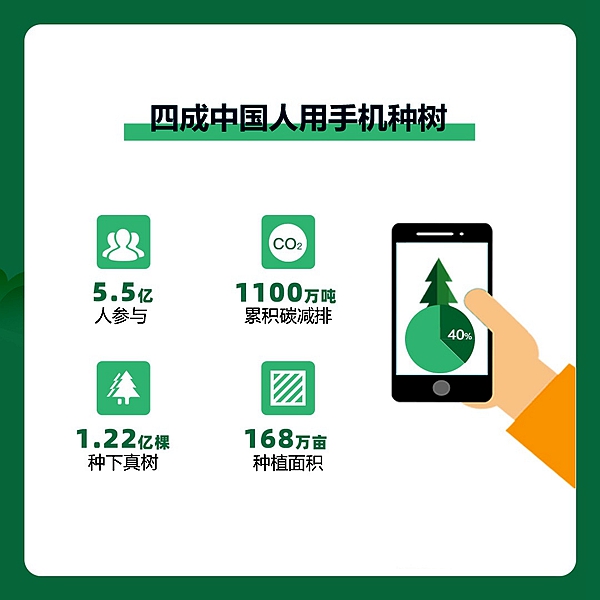 图片9