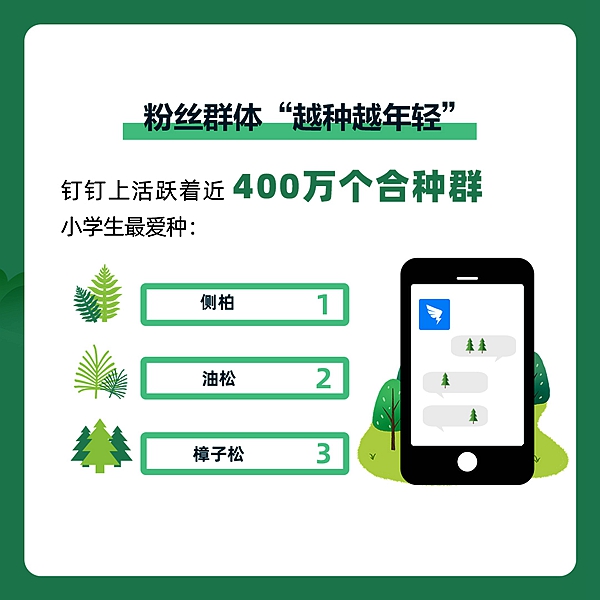 图片11