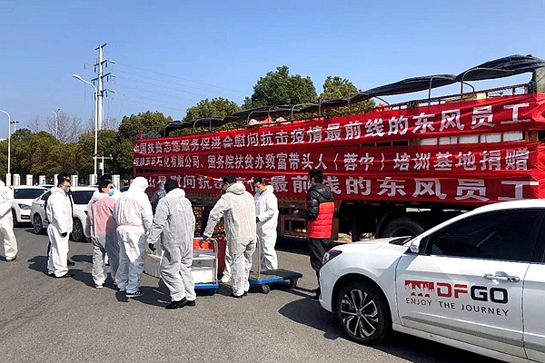 图片19