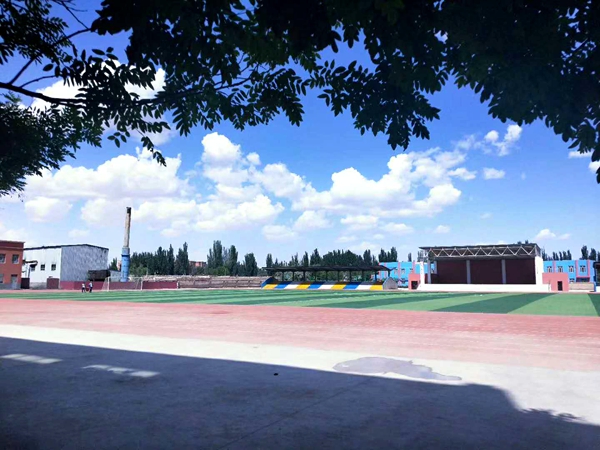 图片1