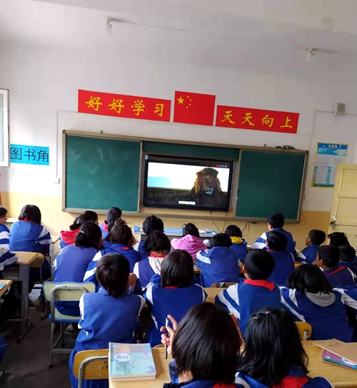 图片3