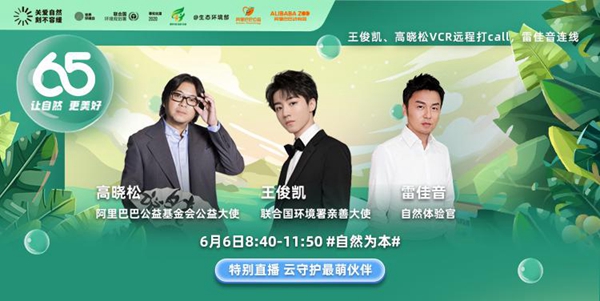 点击打开原图