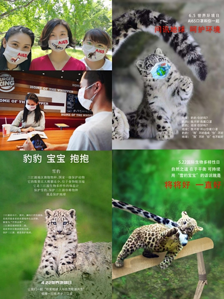 图片10