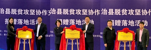 图片20